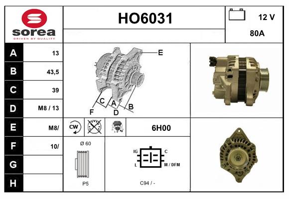 HO6031