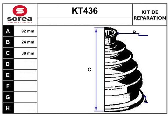 KT436