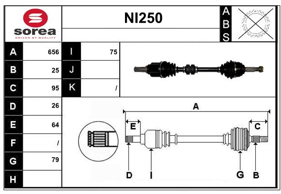 NI250