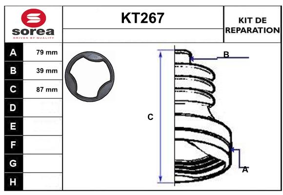 KT267