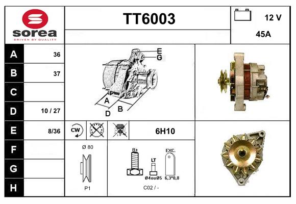 TT6003
