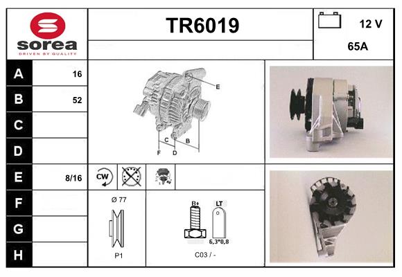TR6019