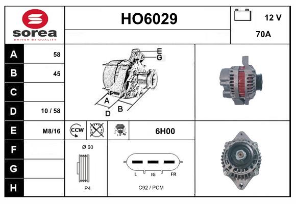 HO6029
