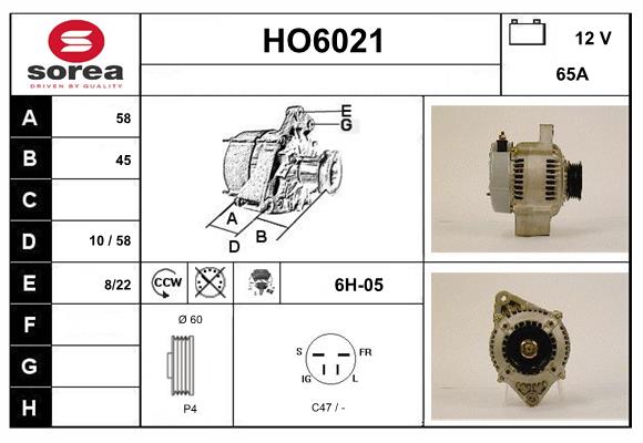 HO6021