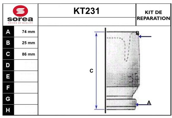KT231