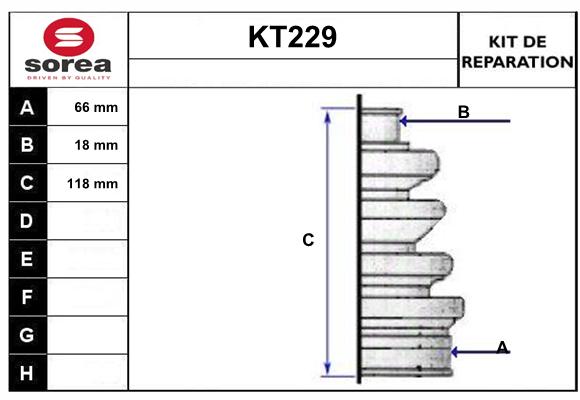 KT229
