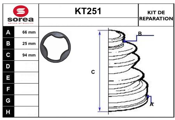 KT251