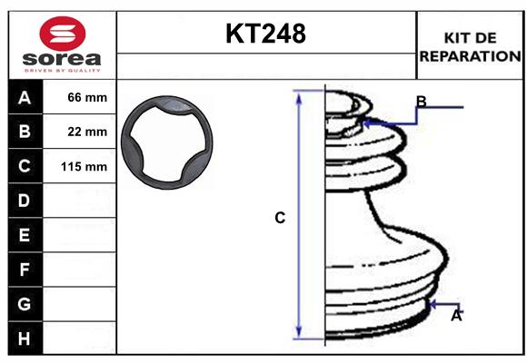 KT248