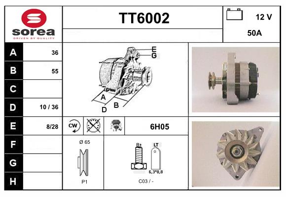 TT6002