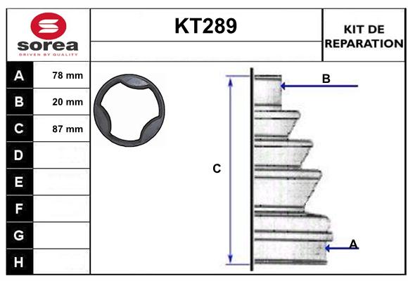 KT289
