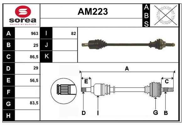 AM223