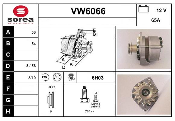 VW6066