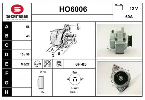 HO6006