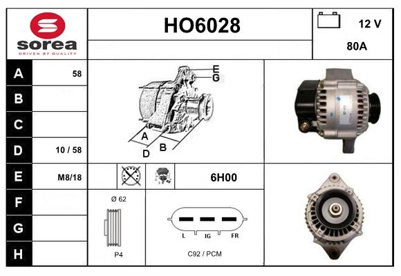 HO6028