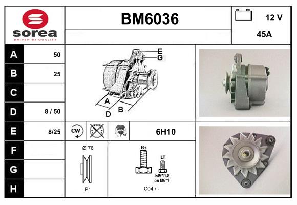 BM6036