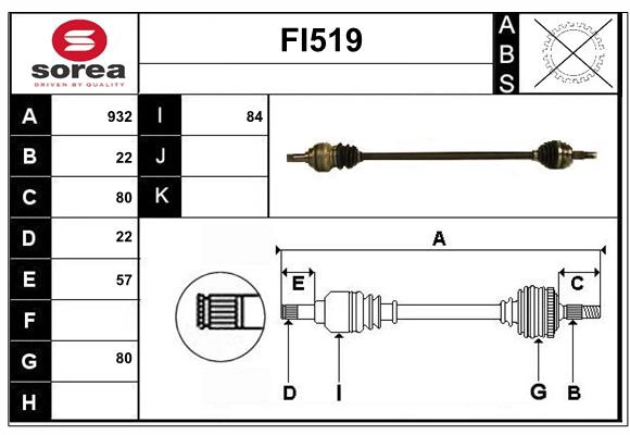 FI519