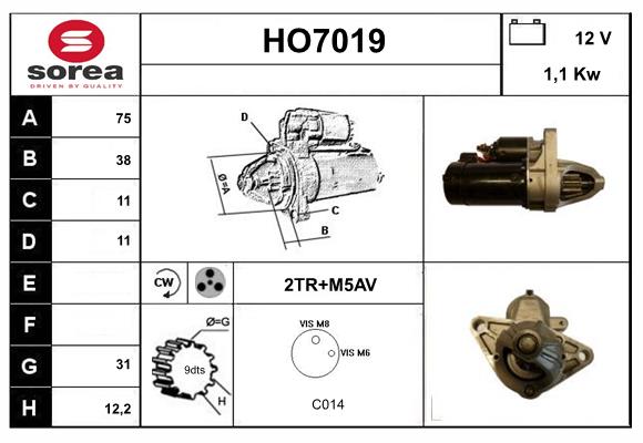 HO7019