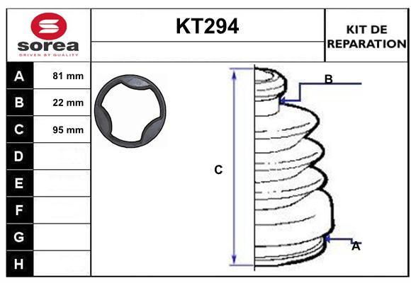 KT294