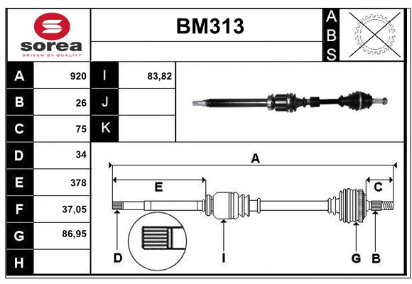 BM313