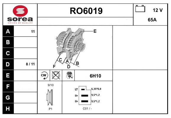 RO6019