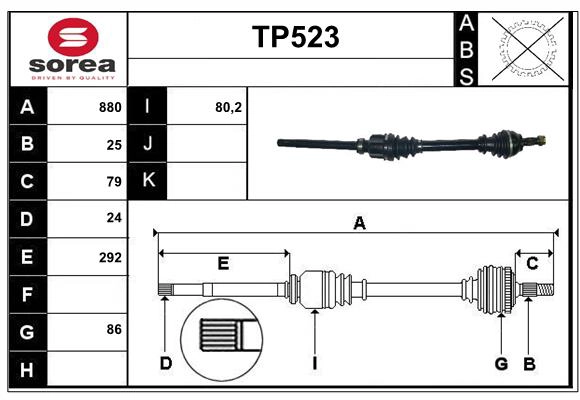 TP523