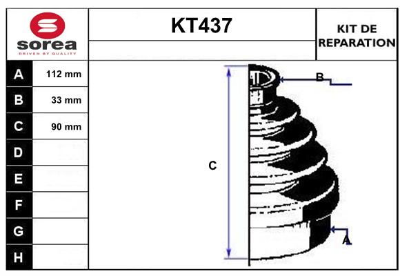 KT437