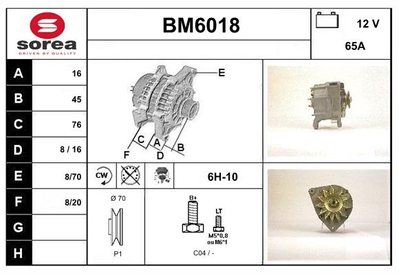 BM6018