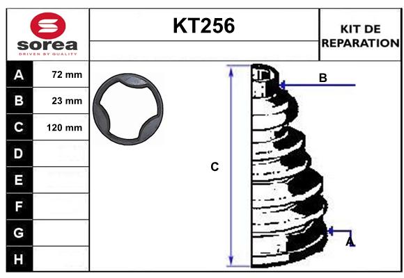 KT256