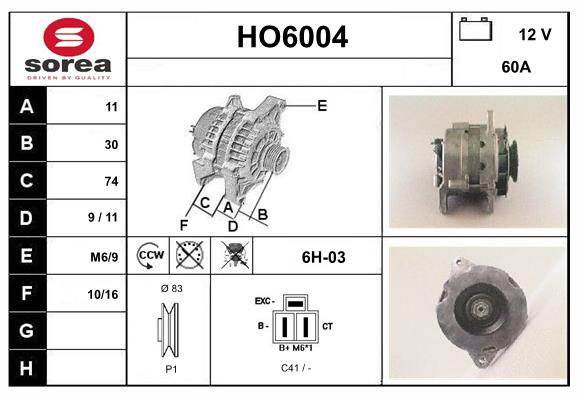 HO6004