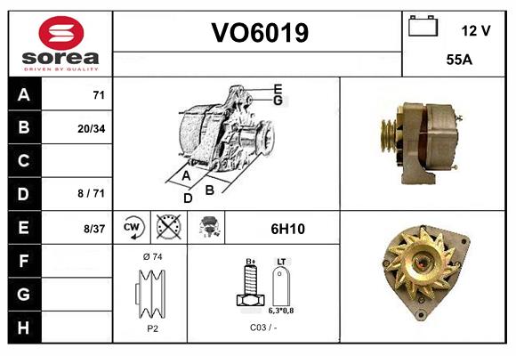 VO6019