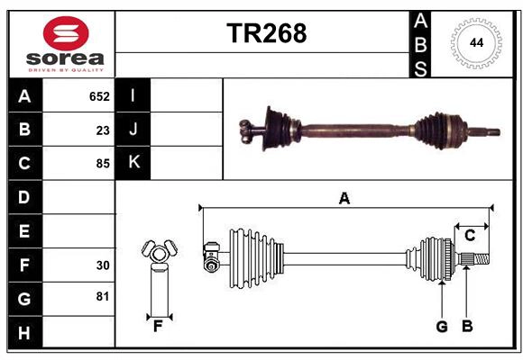 TR268
