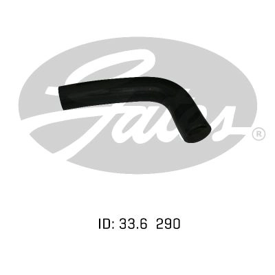 0K01315186