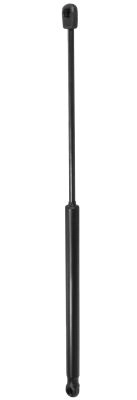MG 16955