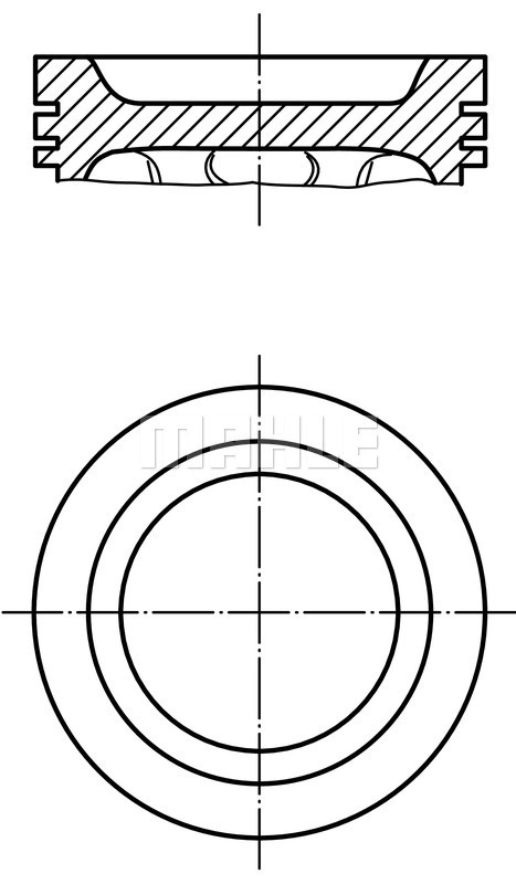 WG1264562
