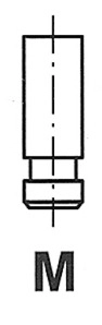 WG1157002