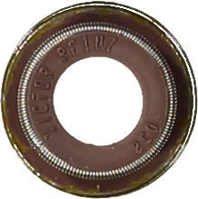 WG1705787