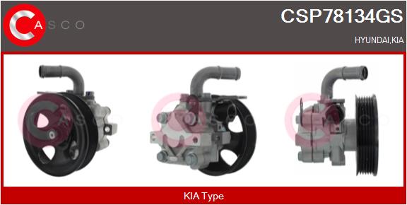 CSP78134GS