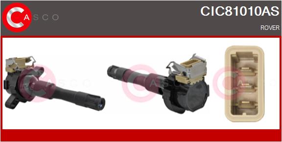 CIC81010AS