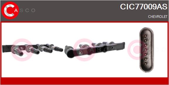 CIC77009AS