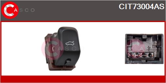 CIT73004AS