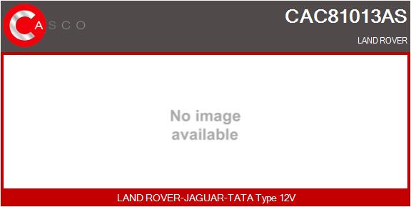 CAC81013AS