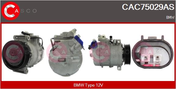 CAC75029AS