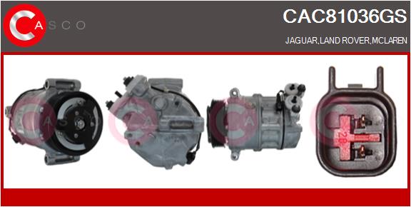 CAC81036GS