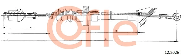 12.202E