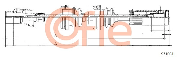 S31031