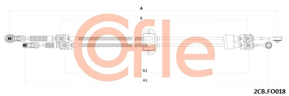 2CB.FO018