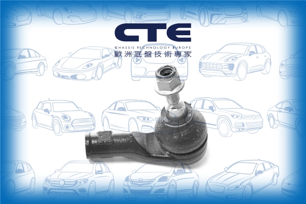 CTE31003