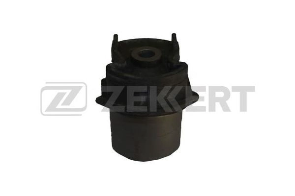 42100-SZW-020