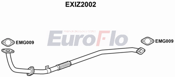 EXIZ2002