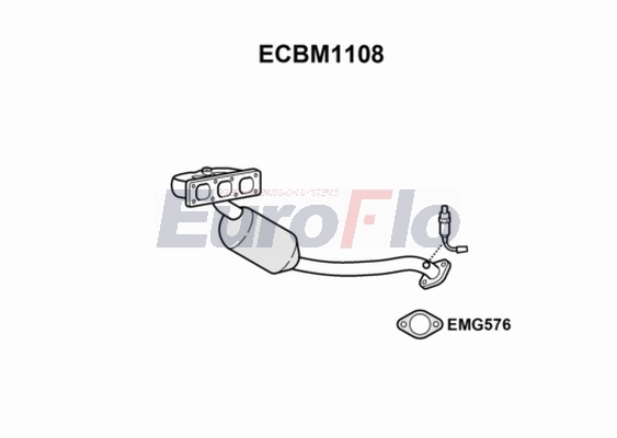 ECBM1108